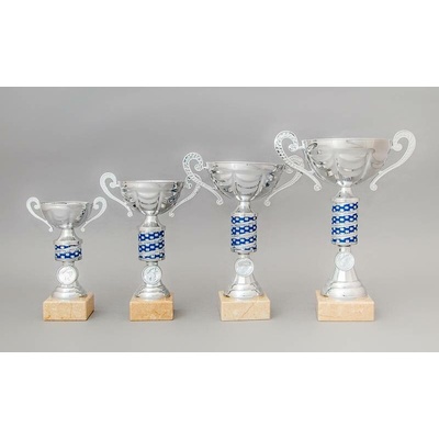 Stříbrnomodrý sportovní pohár s trubkou a uchy 19 29 cm 25 cm