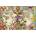 Ravensburger - Puzzle Flora Fauna World Map - 3 000 piese