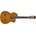 Aria A-35CE