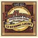 Ernie Ball 2010