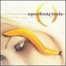 PERFECT CIRCLE: THIRTEENTH STEP CD