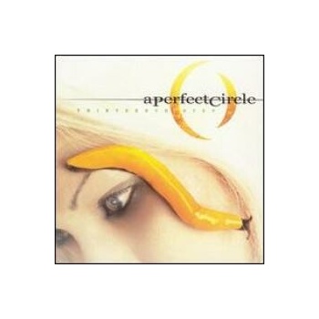 PERFECT CIRCLE: THIRTEENTH STEP CD