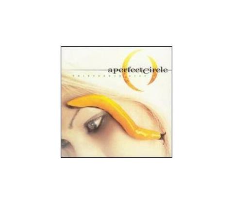 PERFECT CIRCLE: THIRTEENTH STEP CD