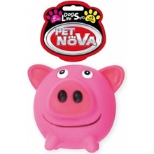 Petnova Hracky VIN PIG BALL