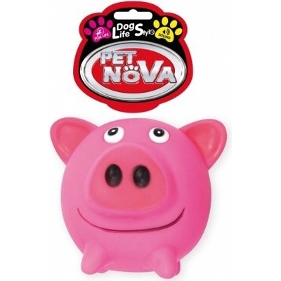 Petnova Hracky VIN PIG BALL