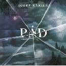 Pád - Jozef Karika