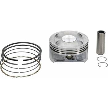 Vertex 24563050