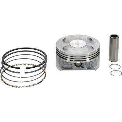 Vertex 24563050