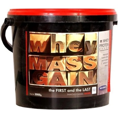 MEGABOL Whey Mass Gain 3000 g