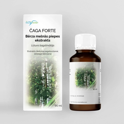 HealthNA Befungin forte extrakt z čagy 90 ml