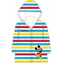 Eexee Mickey Mouse