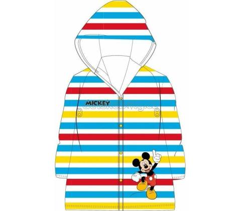 Eexee Mickey Mouse