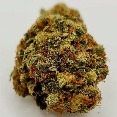 KC Brains Seeds Brains Damage Wedding Cake semena neobsahují THC 5 ks
