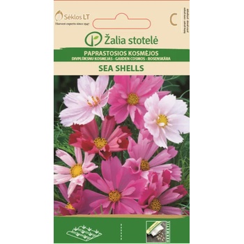 Image 1 of Seklos Космос Микс Морски миди Sea shells mix