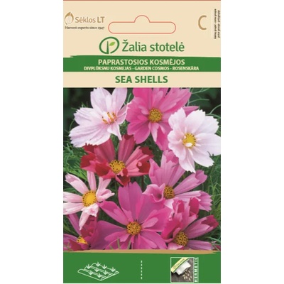 Seklos Космос Микс Морски миди Sea shells mix
