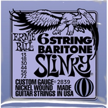 Ernie Ball 2839