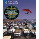 Pink Floyd - A Momentary Lapse Of Reason Remixed & Updated 2 CD