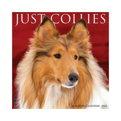 Collies 12 X 12 Wall 2026