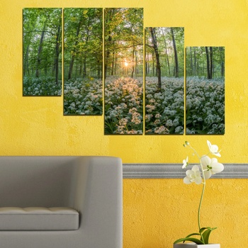 Vivid Home Картини пана Vivid Home от 5 части, Цветя, Канава, 160x100 см, 7-ма Форма №0508