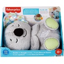 Fisher-Price Uklidňující koala s melodiemi GRT59
