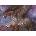 Anatolian - Puzzle Spirit Guides - 1 500 piese