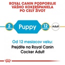 Granule pre psov Royal Canin Cocker Puppy 3 kg
