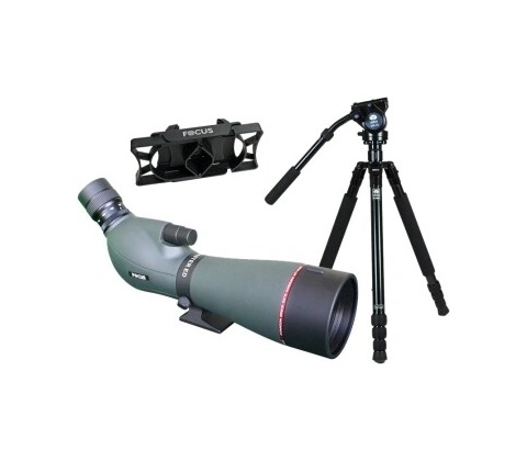 Focus Optimum ED 20-60x85