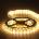 SOH LED384