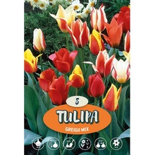 Tulipán Greigův ""Mix""