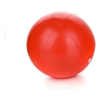 SPORTWELL Mini Ball 20cm