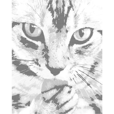 ZUTY Bodkovanie - MAŠKRTNÝ KOCÚRIK Rámovanie: bez rámu a bez vypnutia plátna, Rozmer: 40x50 cm