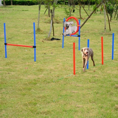 Goleto Agility překážky pro psy, sada 3 typy