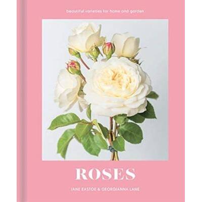 Roses | Jane Eastoe