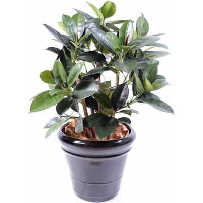 Umelý strom Fíkus Elastica Buisson Rubber, 90cm