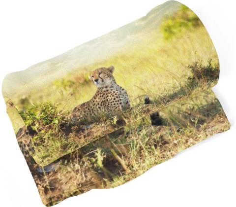 Sablio Deka Gepard 190x140