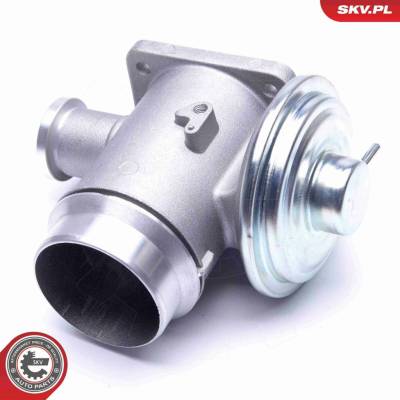 AGR-Ventil ESEN SKV 14SKV176
