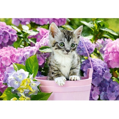Castorland Kitten in basket 1500 dielov