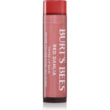 Burt's Bees Tinted Lip Balm балсам за устни цвят Red Dahlia 4.25 гр