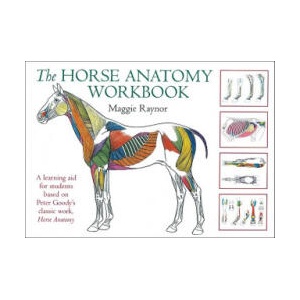 Horse Anatomy Workbook | Maggie Raynor (ISBN: 9780851319056)