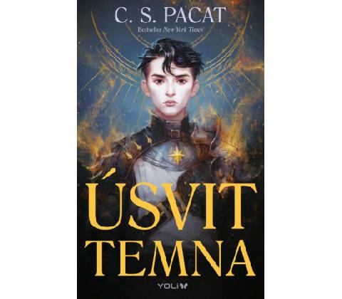 Úsvit temna - S. Pacat C.
