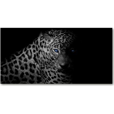 Fotoobraz na skle leopard 100x50 cm