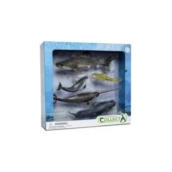 CollectA Set of 5 marine animals in package 89671 COLLECTA