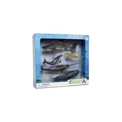 CollectA Set of 5 marine animals in package 89671 COLLECTA