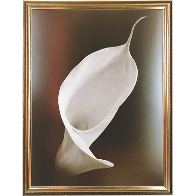 Neznámý autor - Calla I | 67.4x87.4