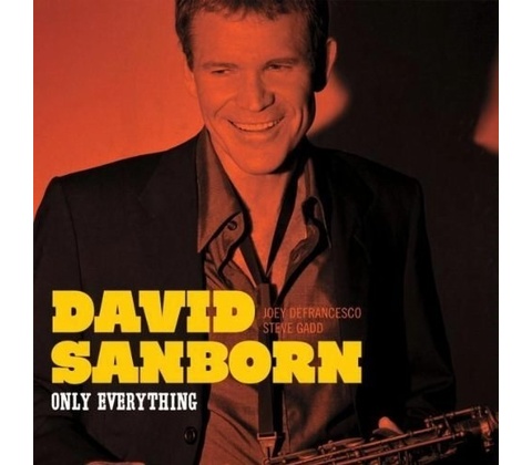 SANBORN DAVID: ONLY EVERYTHING CD