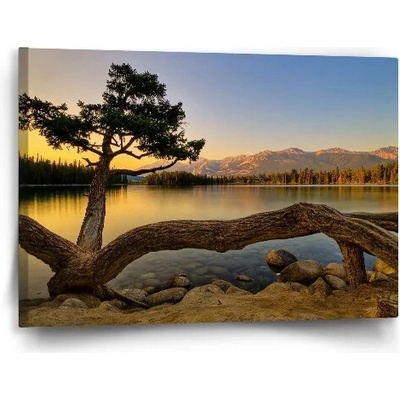 Sablio Obraz Strom pri jazere - 60x40 cm