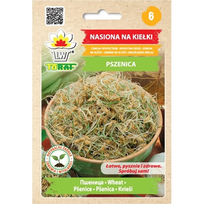 Pšenice – semínka na klíčení 50g