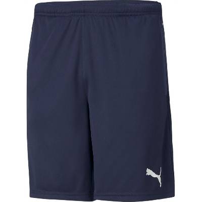 Puma teamRISE Training Shorts
