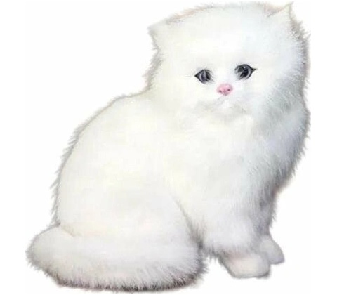 CutePets mačka biela
