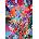 Enjoy - Puzzle Symbiosis - 1 000 piese